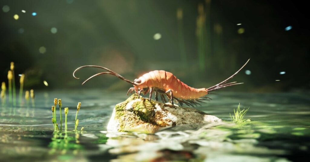 The World’s First Bugs Had Way More Legs