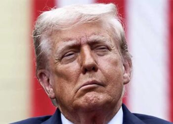 Trump gets stark warning about ticking clock from veteran columnist: ‘Literally drooling’