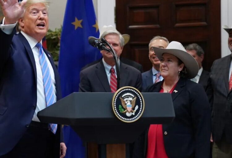 DOJ expands beef price probe to eight retailers, including Walmart and Amazon, with inflation a key issue ahead of midterm elections