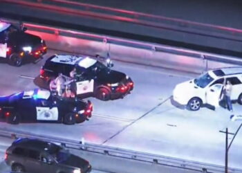 Driver of stolen Mercedes led police on erratic, slow-speed chase through South L.A.