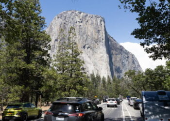 Yosemite National Park officials warn of rabies-infected bat three months after it was discovered