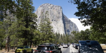 Yosemite National Park officials warn of rabies-infected bat three months after it was discovered