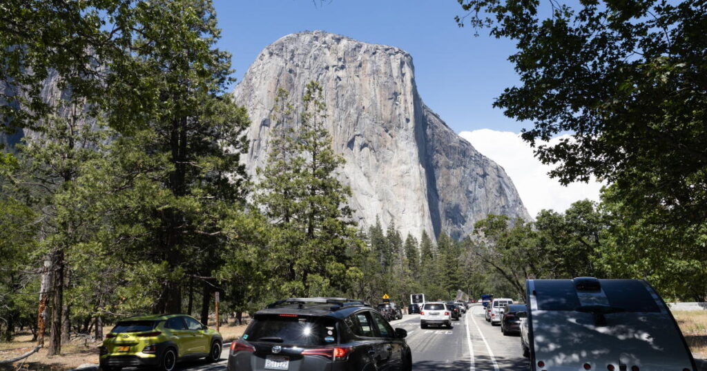 Yosemite National Park officials warn of rabies-infected bat three months after it was discovered