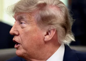 ‘Impeach everyone responsible’: Trump order defying Supreme Court horrifies expert