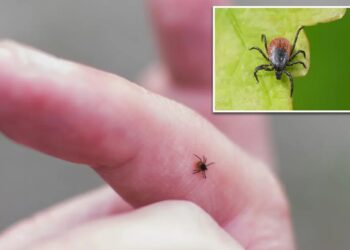 New tick-borne virus that can cause flu-like illness discovered in China