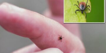 New tick-borne virus that can cause flu-like illness discovered in China