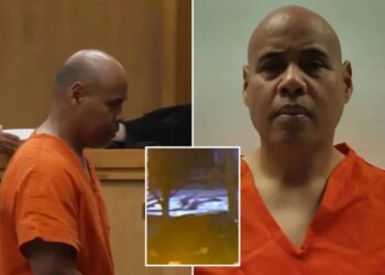 ICE officer pleads not guilty to lying about Minneapolis shooting involving Venezuelan man