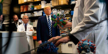 Inside the D.O.J.’s Investigation of Fauci and Other Virus Scientists