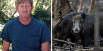 Recently retired Oklahoma man, 63, dies after driving into pack of wild hogs