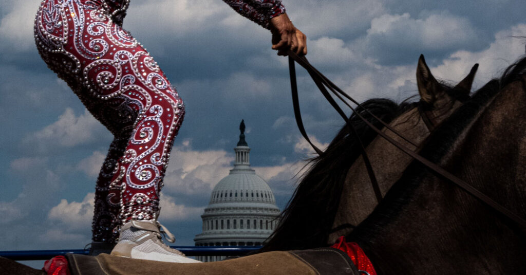 Looking Back on the Summer of High MAGA in Trump’s Washington