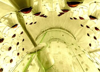 Something Strange Just Happened With the World’s Largest Dark Matter Detector