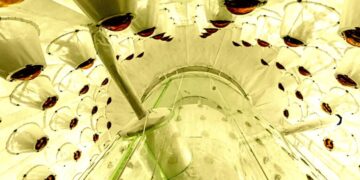 Something Strange Just Happened With the World’s Largest Dark Matter Detector
