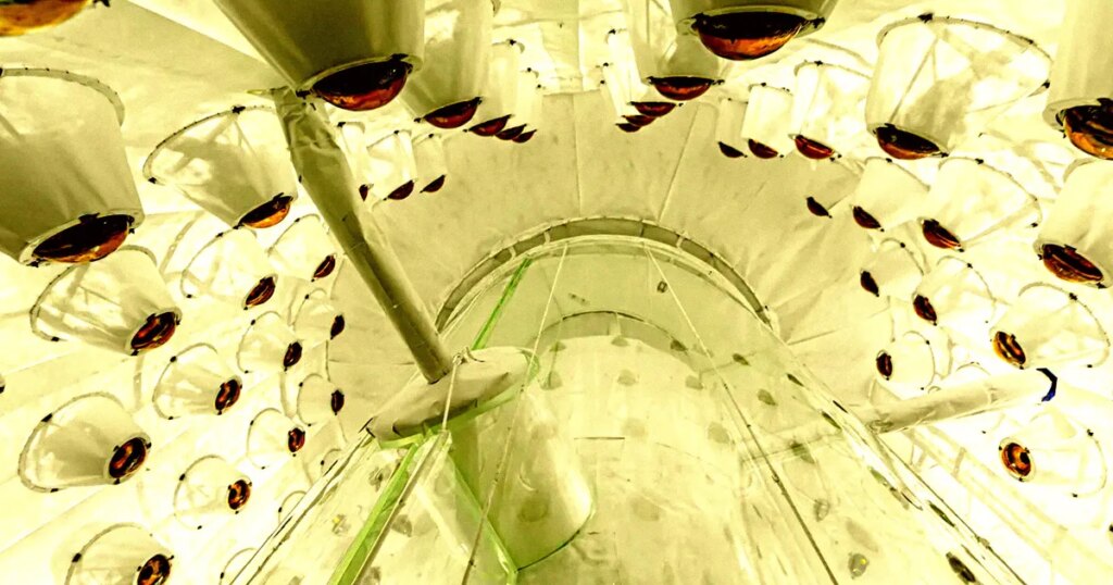 Something Strange Just Happened With the World’s Largest Dark Matter Detector