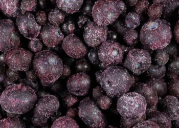 E. Coli Illnesses Linked to Frozen Blueberries Rise to 17, F.D.A. Says