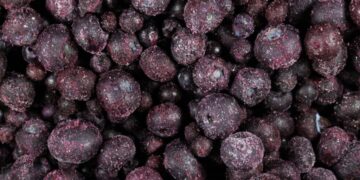 E. Coli Illnesses Linked to Frozen Blueberries Rise to 17, F.D.A. Says