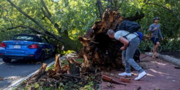 Intense overnight storm knocks out power, downs trees in D.C. area
