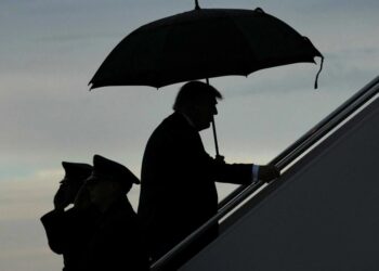 ‘What in the world?’ Trump sparks online frenzy with head-turning new look