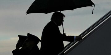 ‘What in the world?’ Trump sparks online frenzy with head-turning new look
