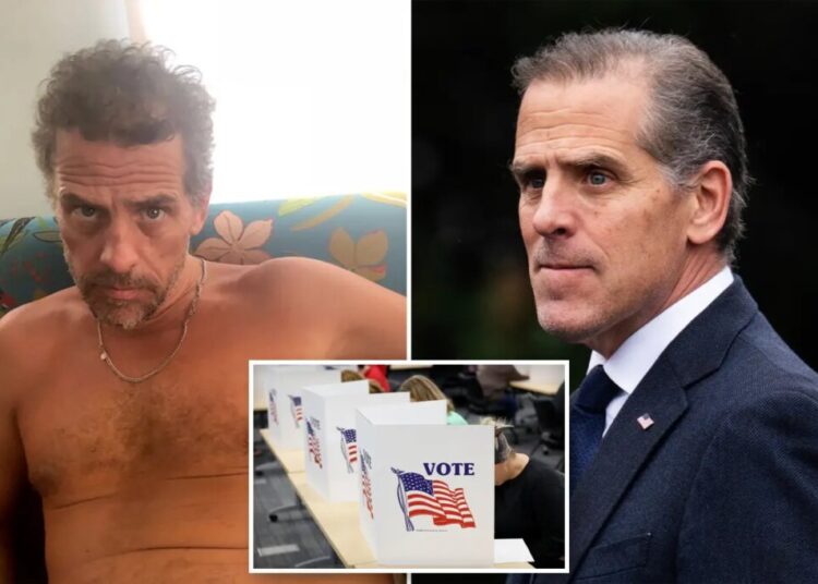 Hunter Biden announces he ‘may have to’ run for president during radio interview