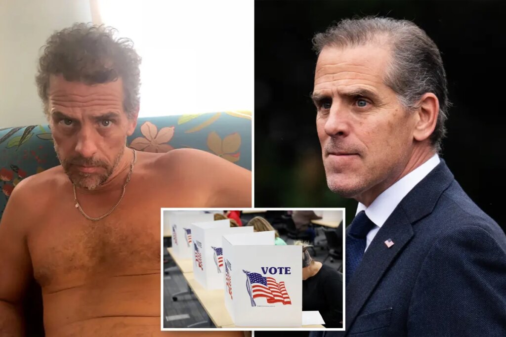 Hunter Biden announces he ‘may have to’ run for president during radio interview