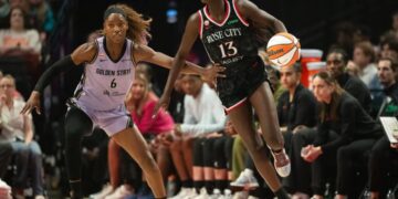 Meet the Portland Fire owners, whose family’s swimwear company and short-lived NFL venture laid the groundwork for a $380 million WNBA franchise