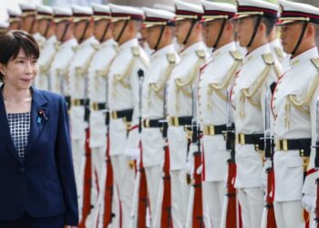 Japan’s Strategic Turn