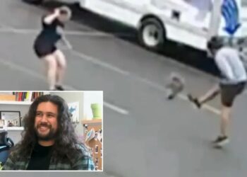 New Hampshire man recounts terrifying encounter with mysterious animal terrorizing locals: ‘Dude, let go’