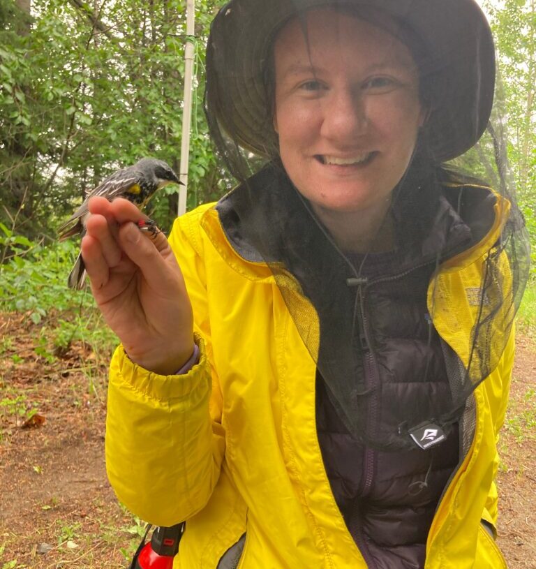 I put a tiny backpack on a warbler. It revealed an epic migration.