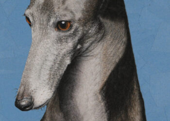 The Dog Isn’t the Only One Rescued in This Memoir