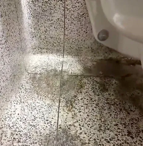 Moisture and mold on a tiled floor near a toilet.