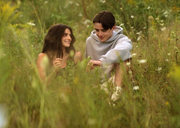 7 Perfect YA Shows to Watch While Waiting on ‘Sterling Point’ Season 2