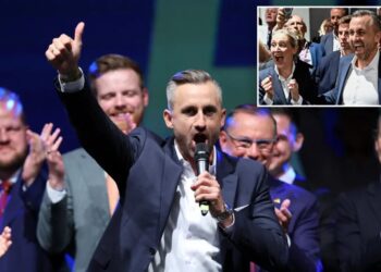 Right-wing AfD party notches historic win in Germany: ‘We are going to see explosive growth’