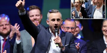Right-wing AfD party notches historic win in Germany: ‘We are going to see explosive growth’