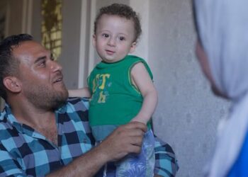 Gaza in Venice: Pieces of a Puzzle, But Never the Whole Picture 