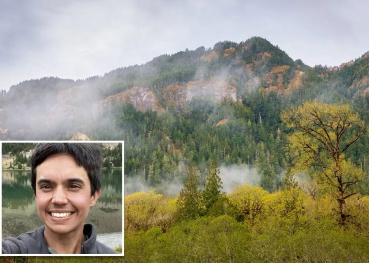 Frantic search launched for hiker, 26, who vanished during off-trail excursion at Olympic National Park