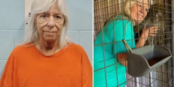 Missouri foster mom accused of trading teen for monkey avoids prison
