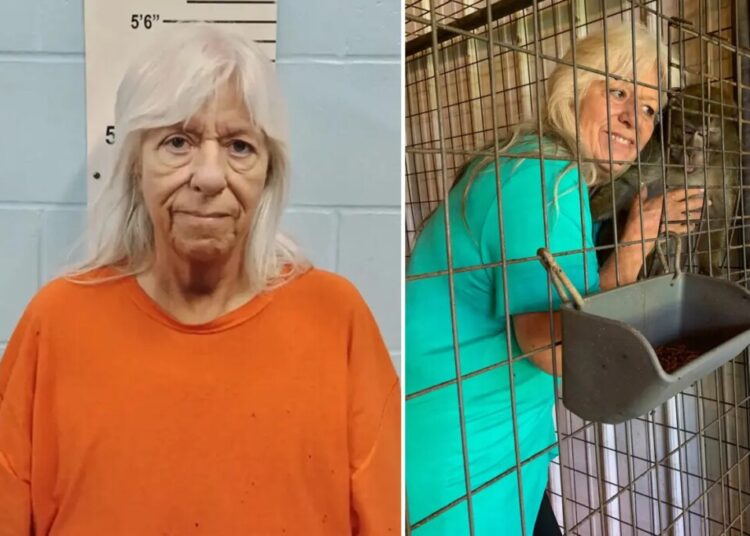 Missouri foster mom accused of trading teen for monkey avoids prison