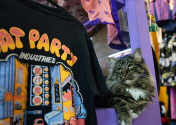 Catnip Coalition is a thrift and cat lover’s paradise