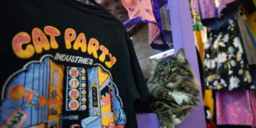 Catnip Coalition is a thrift and cat lover’s paradise