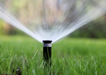 Data Center Caught Watering Its Lavish Lawn While Human Neighbors Are on Year-Long Water Restriction
