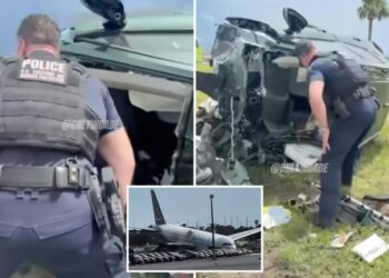 Dramatic footage shows moment stunned cops find survivor in mangled car after Amazon plane crash: ‘We’ve got one breathing!’