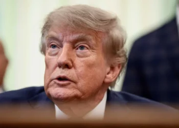 Canada relishing chance to deny Trump electricity: ‘Nothing would make me happier’