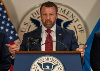 Trump DHS chief ripped by legal expert for on-camera crime: ‘Go back to plumbing school’