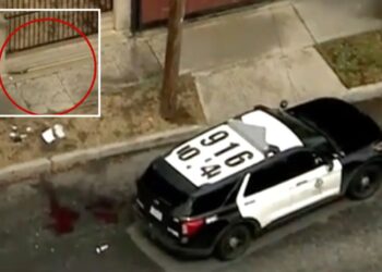 Man shot dead by police after charging officers with tree trimmer on LA street