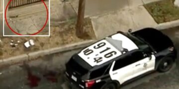 Man shot dead by police after charging officers with tree trimmer on LA street