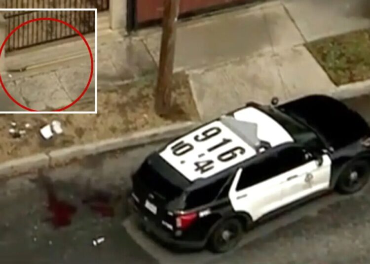 Man shot dead by police after charging officers with tree trimmer on LA street