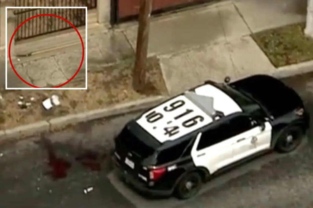 Man shot dead by police after charging officers with tree trimmer on LA street