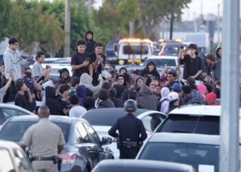 LAPD arrest 69 people, impound 200 cars at illegal street gathering in Harbor Gateway