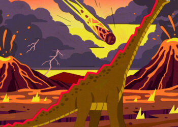 Why Stocks Are Defying Gravity and What Could Bring Them Down