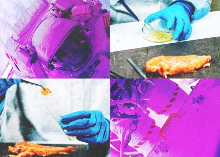 How NASA Testing Changed US Food Inspection Forever